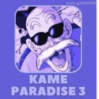 Kame Paradise 3 APK