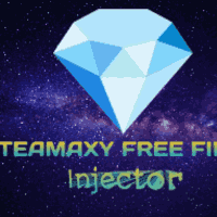 TeamAXY Injector
